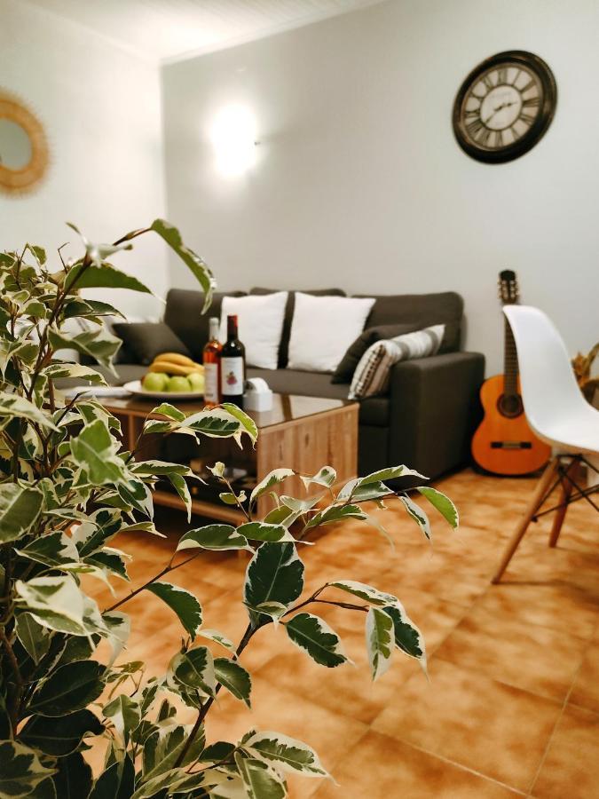 Apartment Zika's House